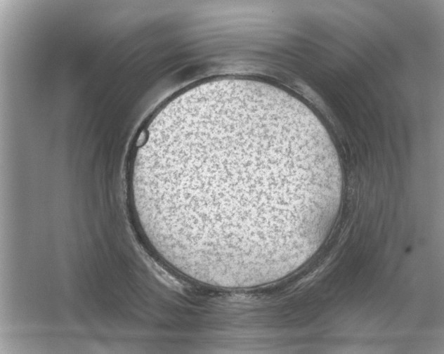 X0000065970787200603311837