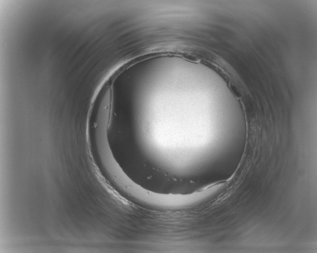 X0000065970788200603311837