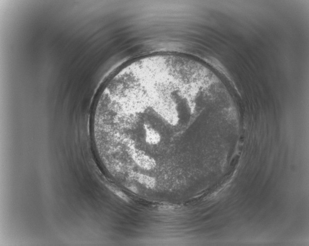 X0000065970790200603311837