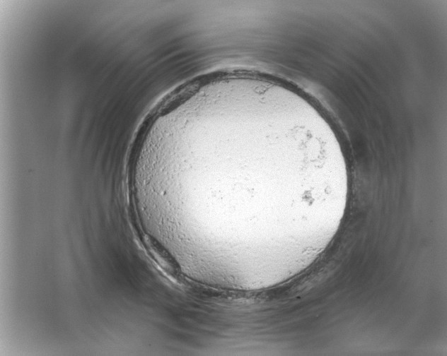 X0000065970791200603311837