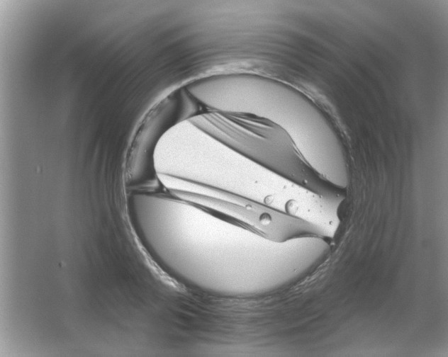 X0000065970792200603311837