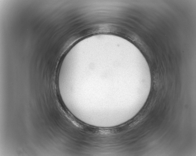 X0000065970794200603311837