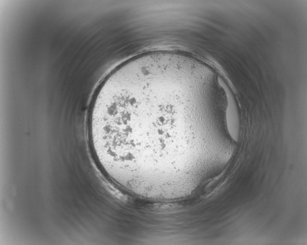 X0000065970795200603311837