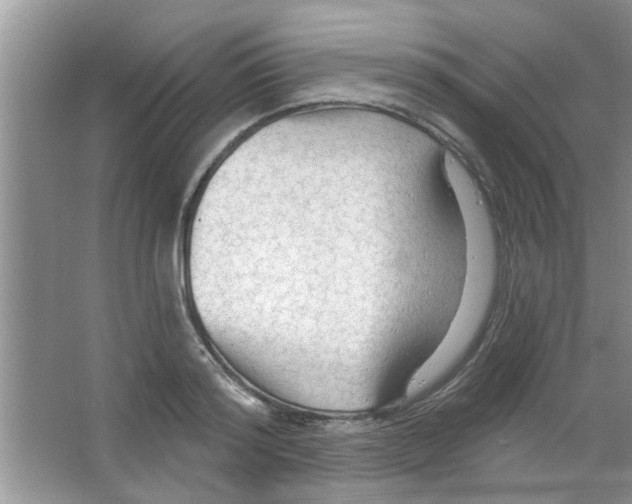 X0000065970796200603311837