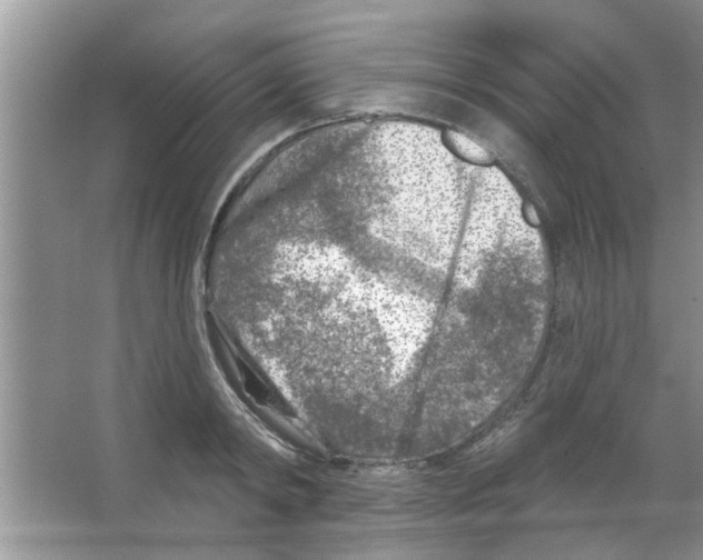 X0000065970798200603311837