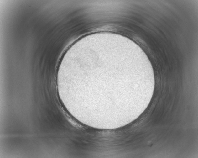 X0000065970800200603311837