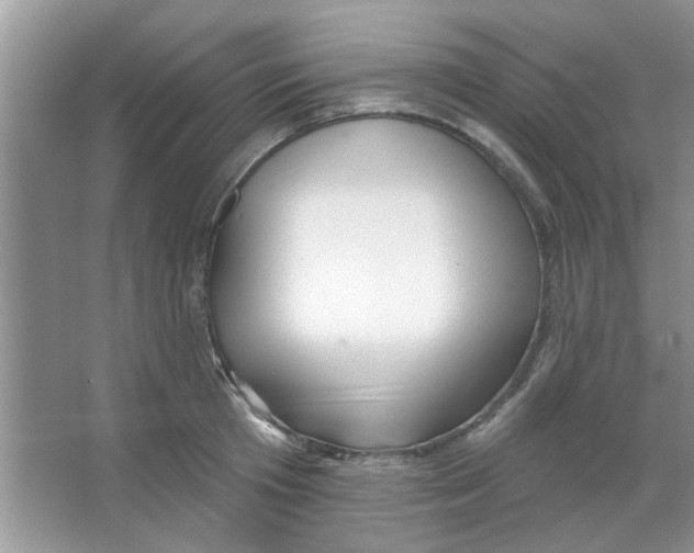 X0000065970801200603311837