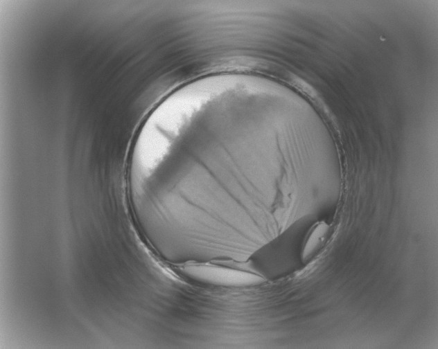 X0000065970802200603311837