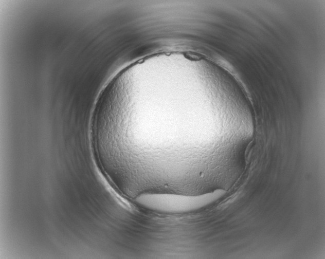 X0000065970803200603311837