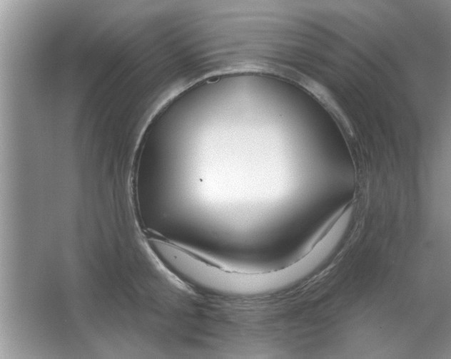 X0000065970805200603311837