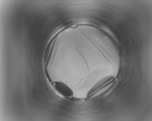 X0000065970806200603311837