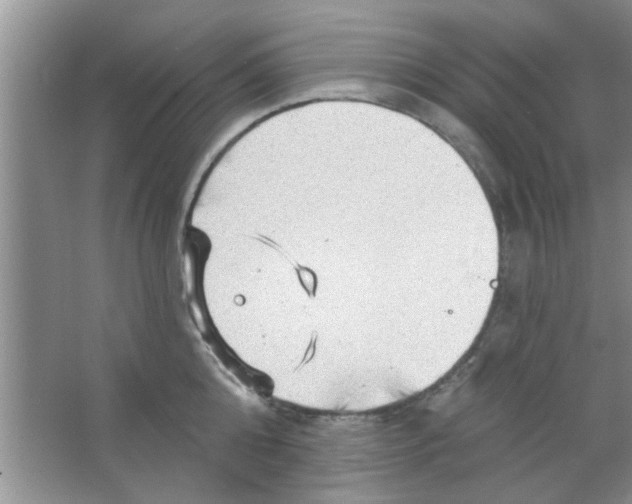 X0000065970808200603311837