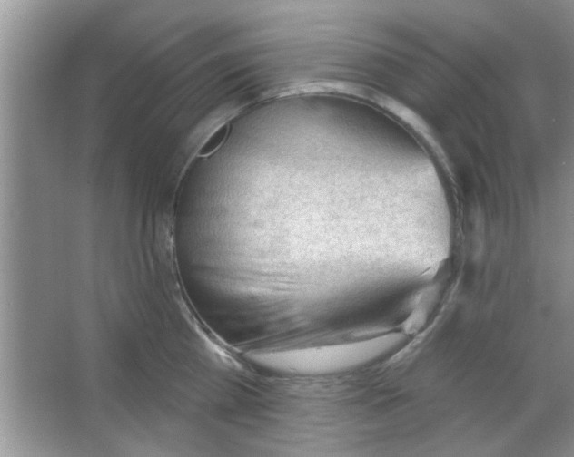 X0000065970809200603311837