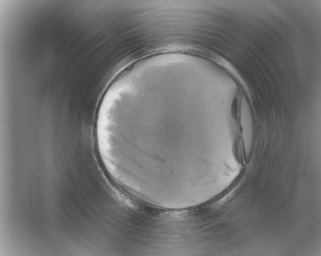 X0000065970810200603311837