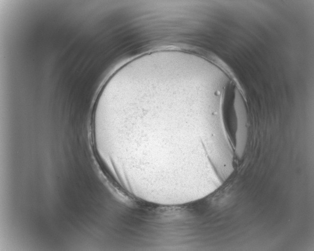 X0000065970811200603311837