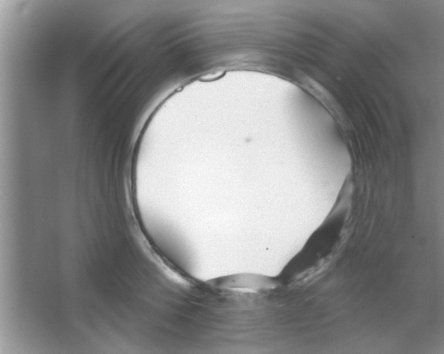 X0000065970812200603311837