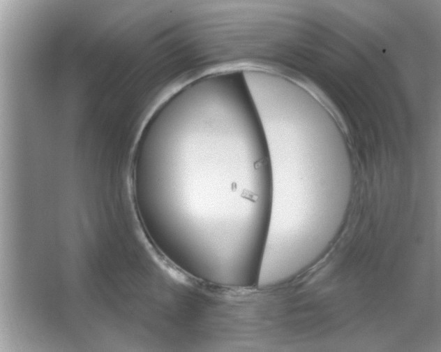 X0000065970813200603311837