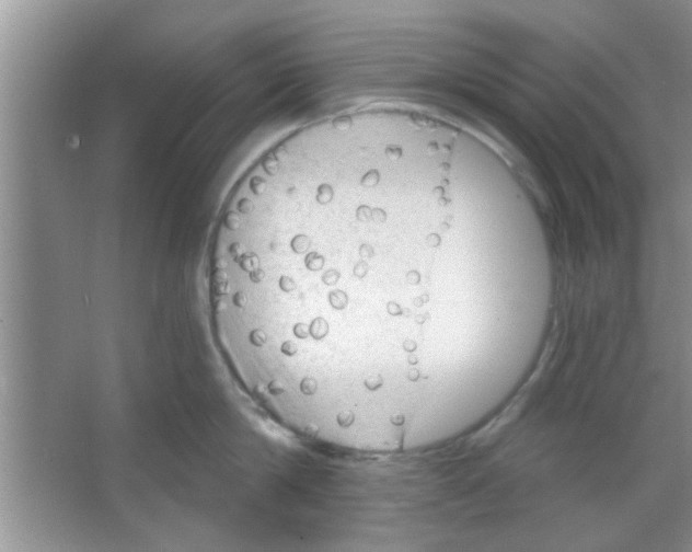 X0000065970814200603311837