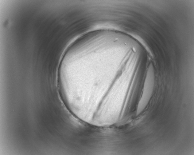 X0000065970815200603311837