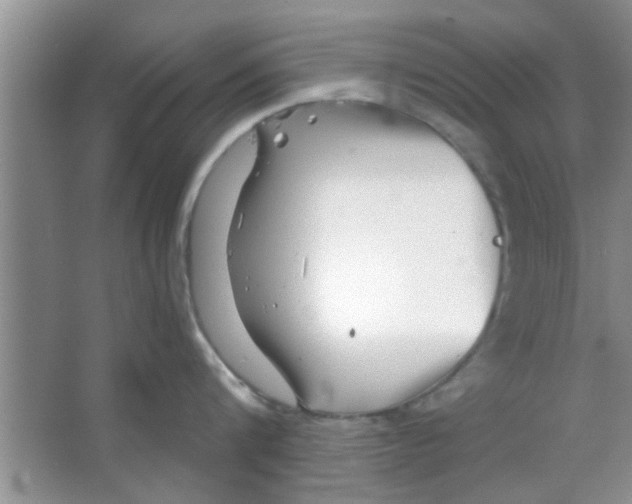 X0000065970816200603311837