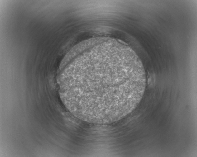 X0000065970819200603311836