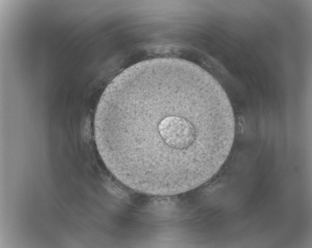 X0000065970820200603311836