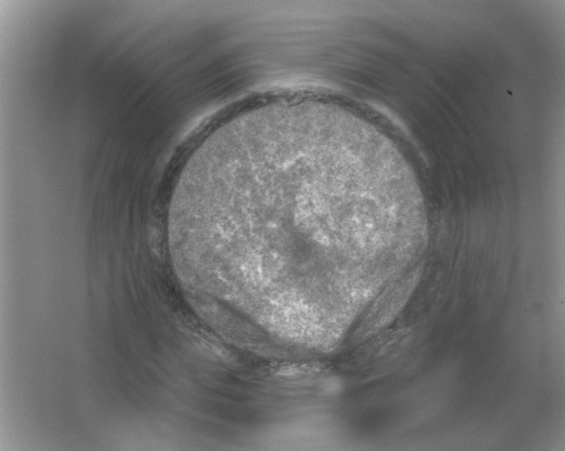 X0000065970823200603311836