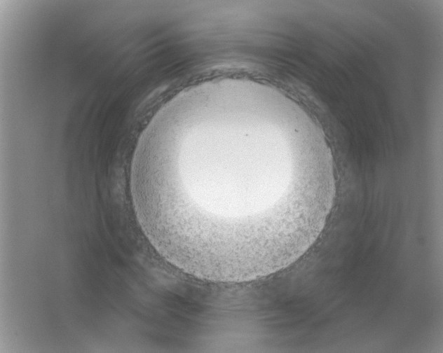 X0000065970824200603311836