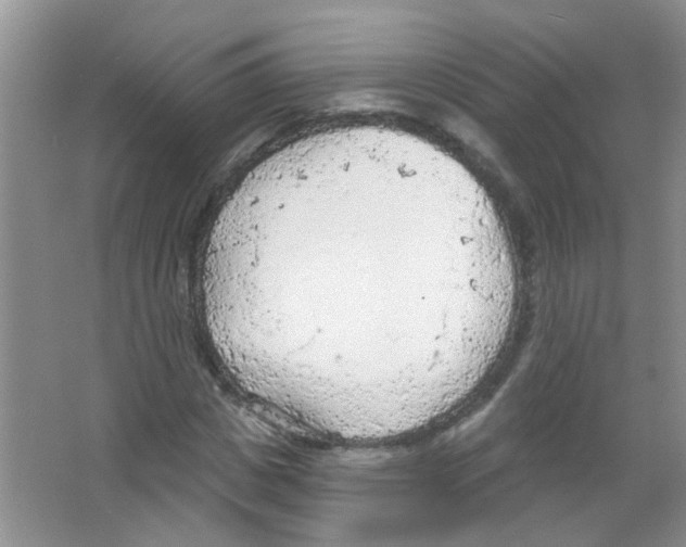 X0000065970825200603311836