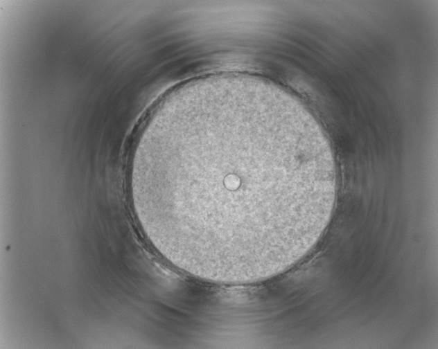 X0000065970828200603311836