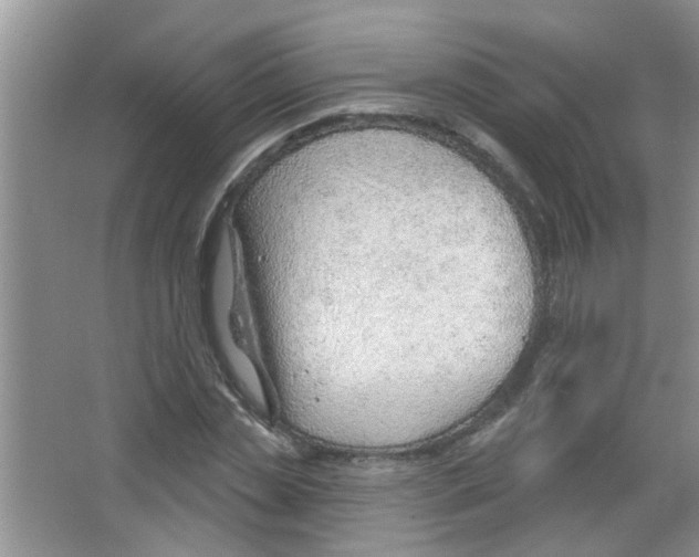 X0000065970829200603311836