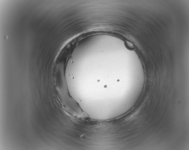 X0000065970830200603311836