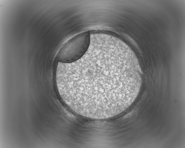 X0000065970831200603311836