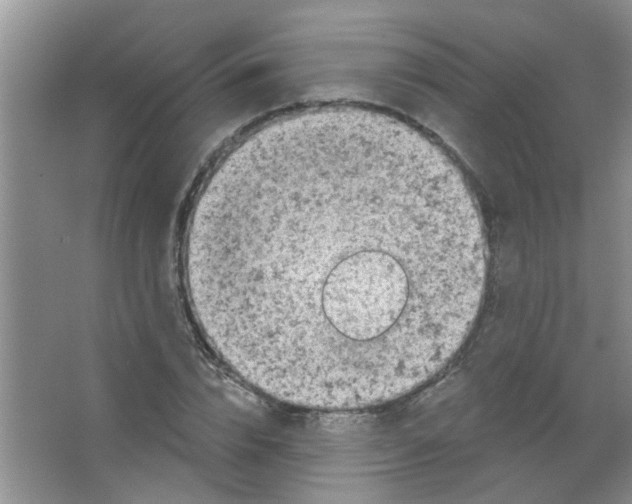 X0000065970832200603311836