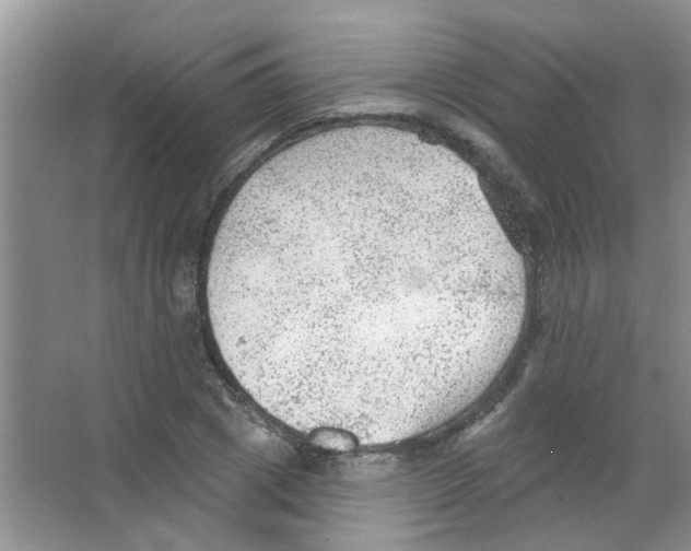 X0000065970833200603311836