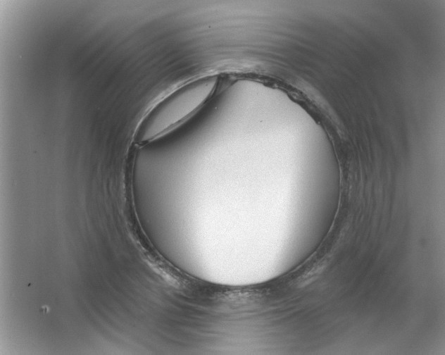 X0000065970834200603311836