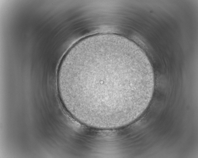 X0000065970836200603311836