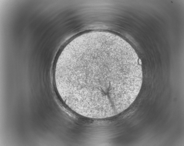 X0000065970840200603311836