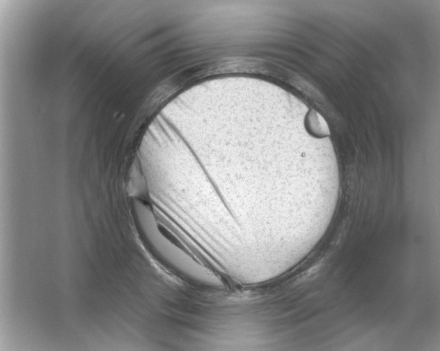 X0000065970841200603311836