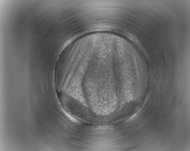 X0000065970842200603311837