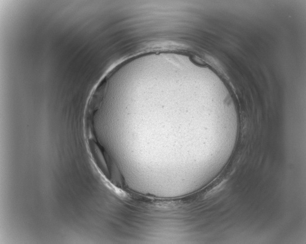 X0000065970843200603311837