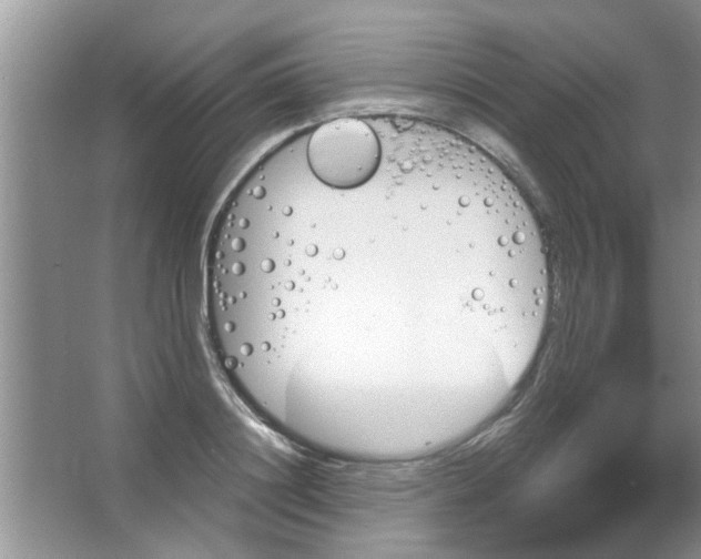 X0000065970844200603311837