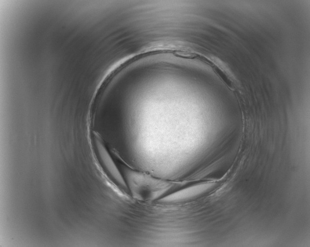 X0000065970846200603311837