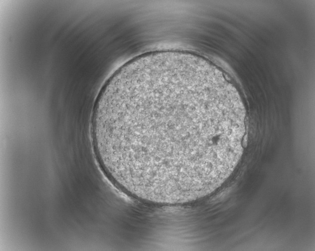 X0000065970847200603311837