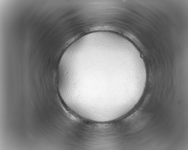 X0000065970849200603311837