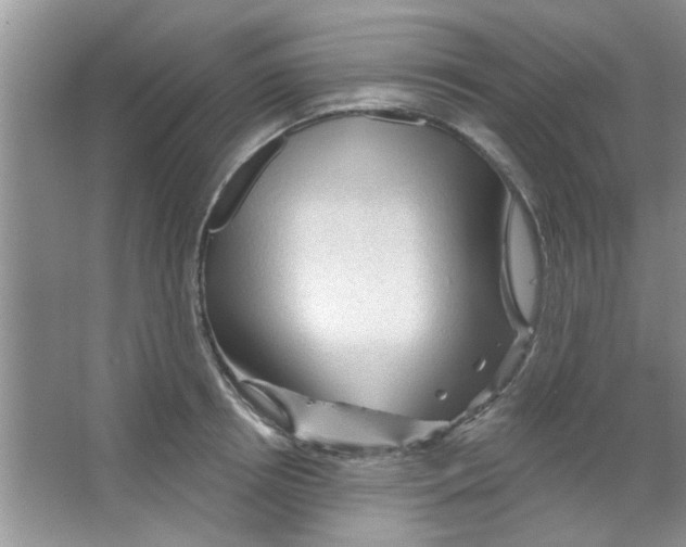 X0000065970850200603311837