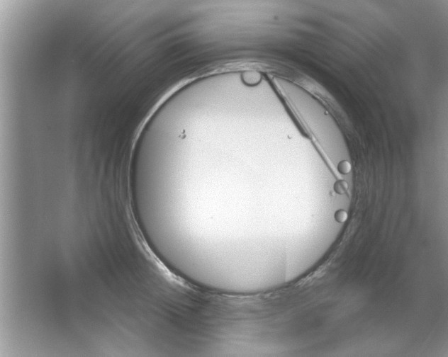 X0000065970852200603311837