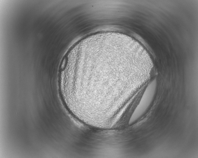 X0000065970853200603311837