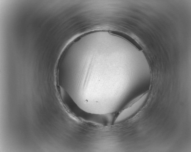 X0000065970854200603311837