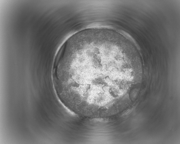 X0000065970855200603311837